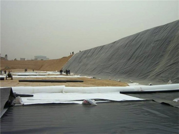 conew_158824406465338.jpg