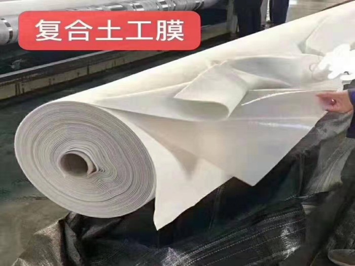 conew_timg (36) - 副本.jpg